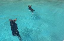 Visit Pigs Bay in Atokos Island on a Private Half Day Cruise