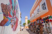 Curated Cozumel Island Experience with Raul