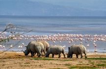 Big five & Birds Paradise 4 Day Masai Mara -Lake Naivasha