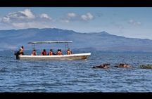 7-Day Wildebeest Migration Safari: Amboseli & Masai Mara