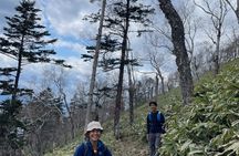 Full Day Green Season Hiking in Sapporo and Hokkaido with onsen.