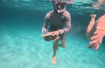 Punta Cana Catamaran Tour Bavaro Beach Experience