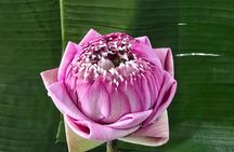 Thai Flower Art in Phuket