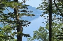 Lake Shikotsu Nature Tour
