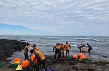 Jeju Private Taxi Tour with English Speaking Guide & Driver