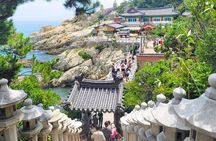 Busan City Top Attractions Tour with Haeundae Blueline Park
