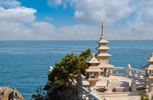 Busan City Top Attractions Tour with Haeundae Blueline Park