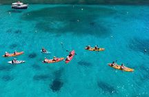 Gozo Kayak Tours
