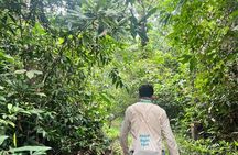 Siem Reap to Phnom Kulen Rainforest Adventure Trek
