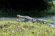 Private Wildlife Safari in Yala National Park Half Day Tour
