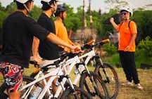 Bali Downhill Cultural Cycling Tour