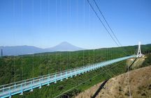 Mt. Fuji Scenic Tour to Mishima Skywalk, Izu Panorama Park & BBQ