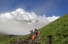 Annapurna Base Camp Helicopter Tour with Landing