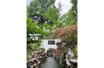 Crowd-Free Private Walk Tour: Yuyuan Garden Aesthetics Decoded