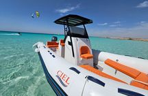 Hurghada Private 4hrs Speed Boat Trip Swim With Dolphins & Island