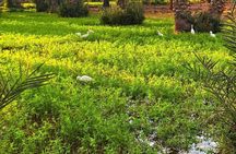 Culinary and Cultural Experience in the Egyptian Countryside