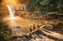 Ubud Tour: Monkey Forest, Jungle Swing, Tegalalang Rice Terrace