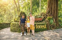 Ubud Tour: Monkey Forest, Jungle Swing, Tegalalang Rice Terrace