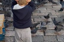Kids & Family Experience in Dubrovnik