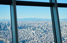 Private TOKYO Tour:After Arrival/Before Departure/Transfer Flight