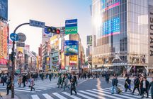 Private TOKYO Tour:After Arrival/Before Departure/Transfer Flight