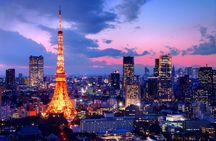 Private TOKYO Tour:After Arrival/Before Departure/Transfer Flight