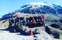 7 Days Kilimanjaro Lemosho Route Joining Group Climb