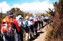 7 Days Kilimanjaro Lemosho Route Joining Group Climb
