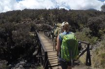 7 Days Kilimanjaro Lemosho Route Joining Group Climb