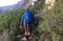 Cape Town Table Mountain India Venster Story Led Hike