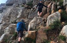 Cape Town Table Mountain India Venster Story Led Hike