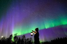 Rovaniemi: 100% Money-Back Guarantee Northern Lights - Photos