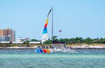 3 Hour Panama City Beach Dolphin Cruise and Shell Island Tour