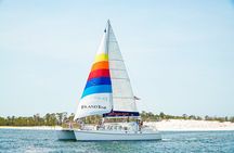 3 Hour Panama City Beach Dolphin Cruise and Shell Island Tour