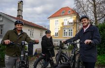 Bergen E Bike Tour Explore Cobblestone Streets and Local Culture