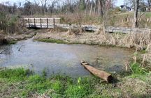 Private Greenville Driving Tour