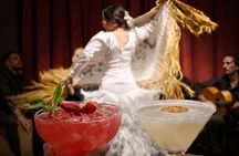 Barcelona Premium Flamenco Show: Tapas, Cocktail & Guitar Museum