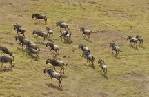 3-Days Masai Mara Group Safari with Maasai Village Visit