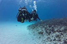 Recreational Dive Cozumel Dive Machine