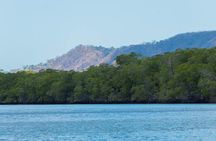 Tamarindo Estuary Tour Wildlife Adventure in Guanacaste