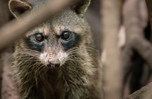 Tamarindo Estuary Tour Wildlife Adventure in Guanacaste
