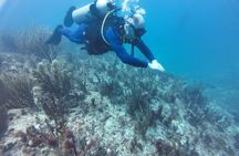 Playa del Carmen First Time Scuba Diving Experience