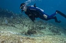 Playa del Carmen First Time Scuba Diving Experience