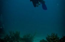 Playa del Carmen First Time Scuba Diving Experience