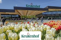 Private Keukenhof Park & Tulip Fields Tour from Rotterdam