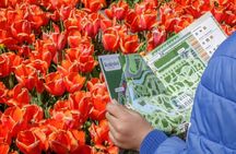 Private Keukenhof Park & Tulip Fields Tour from Rotterdam