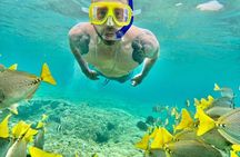 7 Bays of Huatulco Yacht Tour