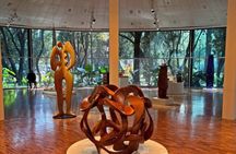 Exclusive tour Museum of Modern Art in Chapultepec