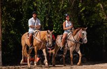 Cancun Horseback Riding, Zipline & Cenote with Tequila Tasting