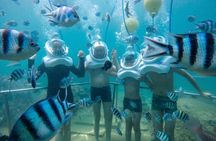 Cham Island Sea Trek and Snorkeling by Speedboat